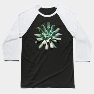 Echeveria Topsy Turvy Baseball T-Shirt